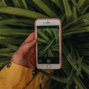 5 idées de Reel Instagram